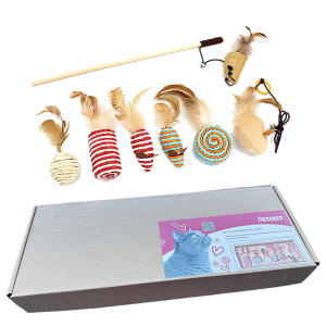 Pawsini Cat Game Box
